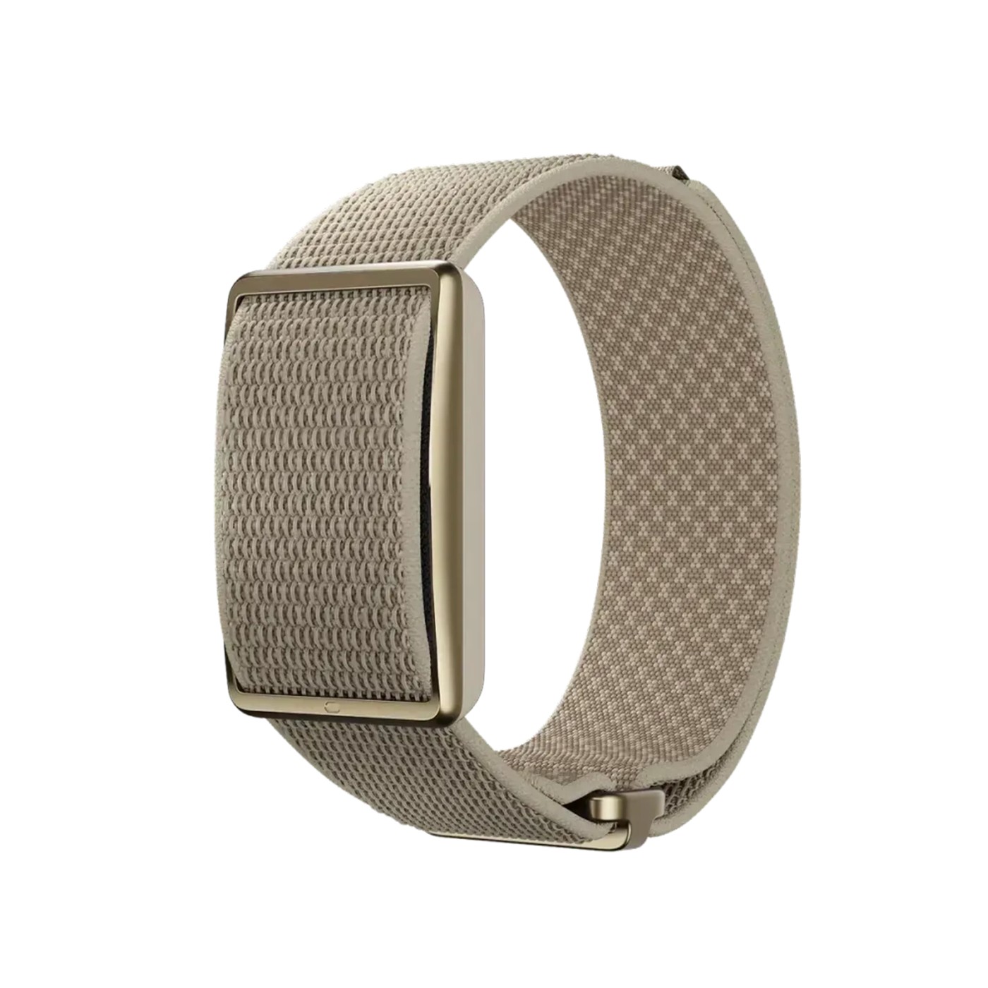 צמיד כושר חכם ללא מסך POLAR LOOP בצבע זהב – Greige Sand S-L – תמונה 3